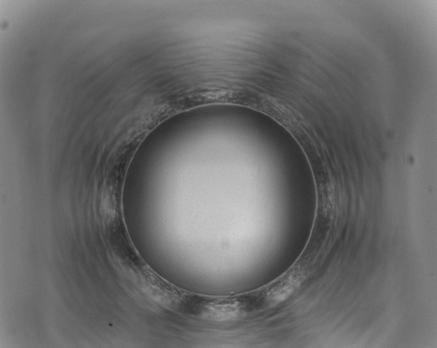 X0000074290606200609011409