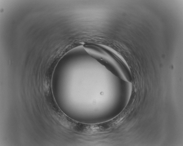 X0000074290607200609011409