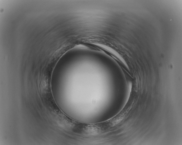 X0000074290608200609011409