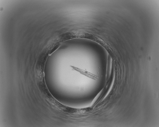 X0000074290609200609011409