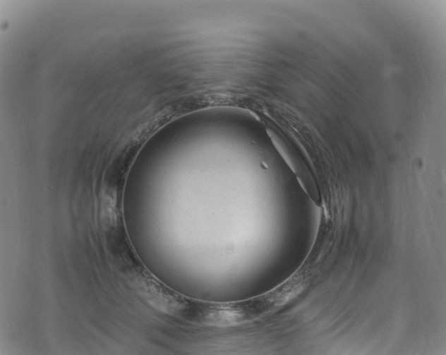 X0000074290610200609011409