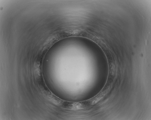 X0000074290612200609011409