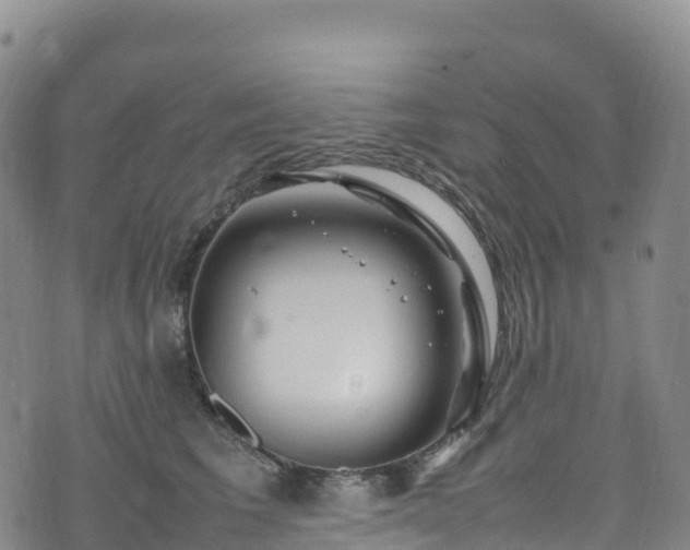 X0000074290613200609011409