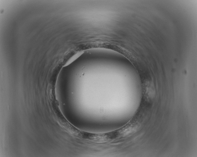 X0000074290615200609011409