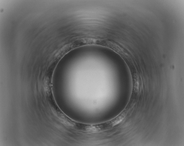 X0000074290616200609011408