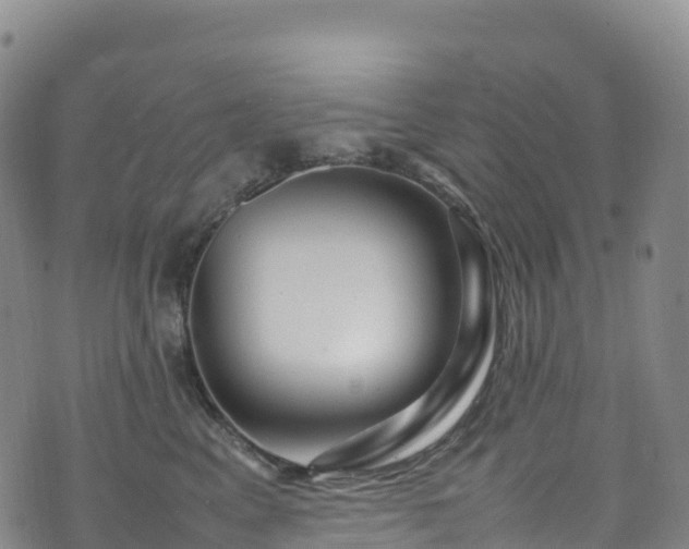 X0000074290617200609011408