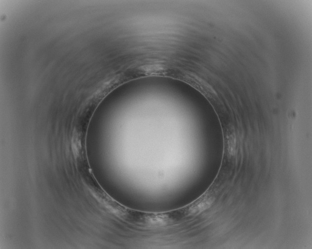 X0000074290618200609011408