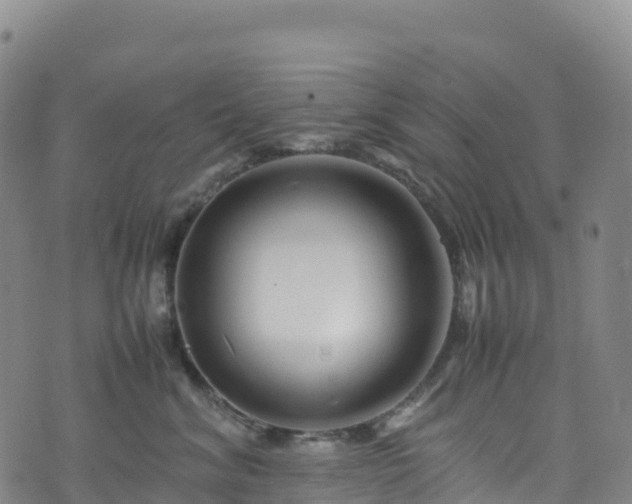 X0000074290620200609011408