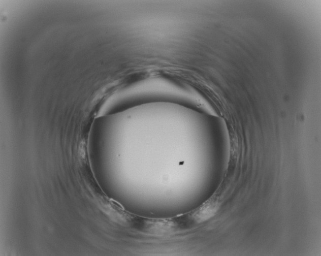 X0000074290621200609011408