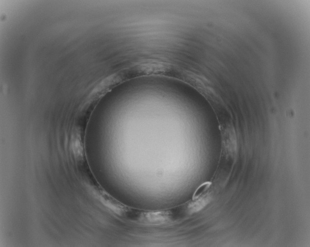 X0000074290622200609011408