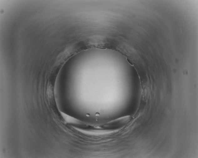 X0000074290623200609011408