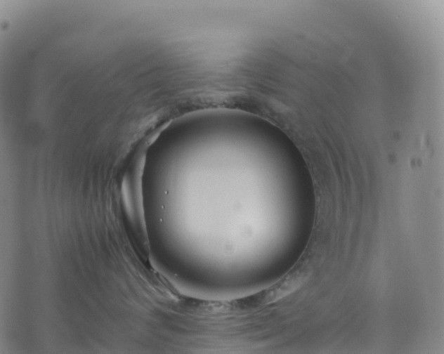 X0000074290624200609011408