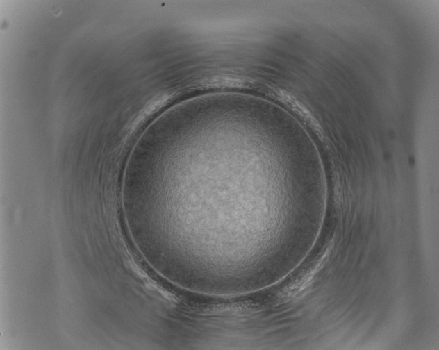 X0000074290625200609011408