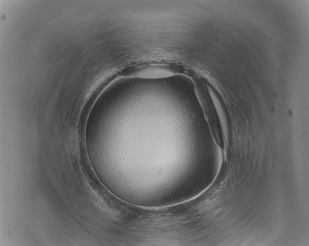 X0000074290626200609011408