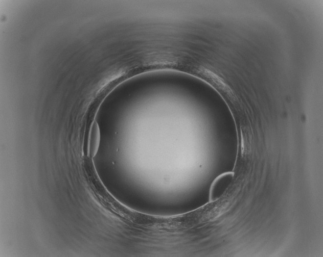 X0000074290627200609011408