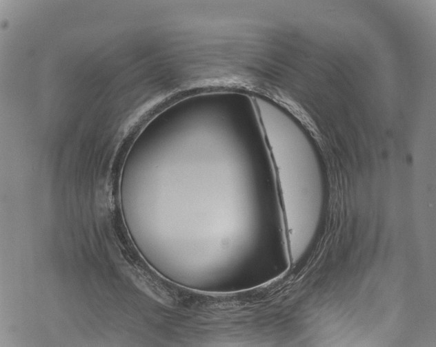 X0000074290628200609011408