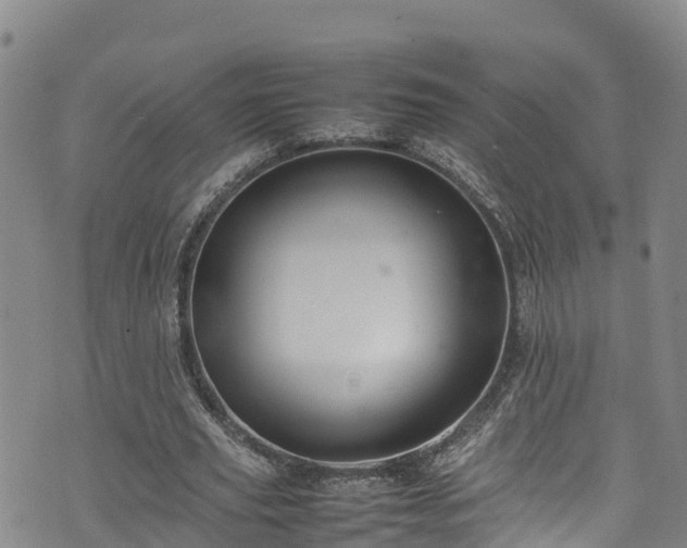 X0000074290629200609011408