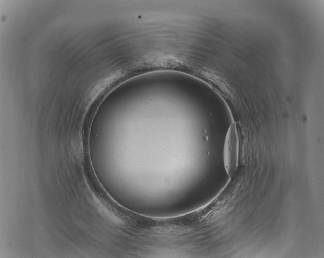 X0000074290630200609011408