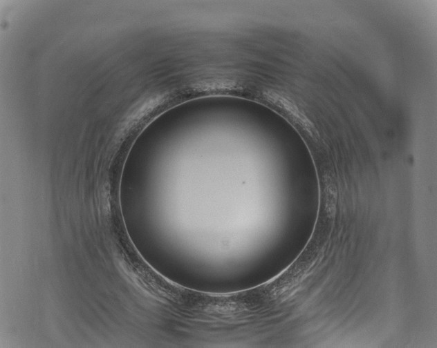 X0000074290631200609011408