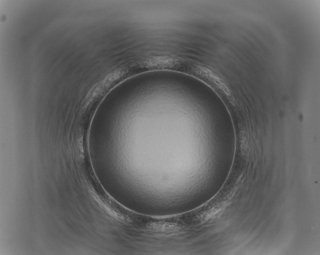 X0000074290633200609011408