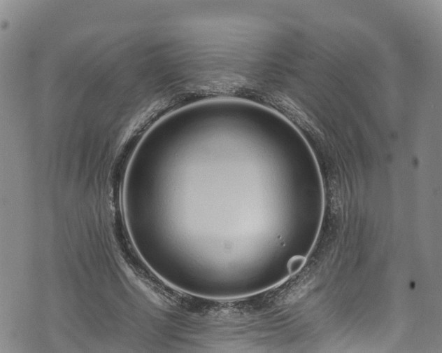 X0000074290634200609011408