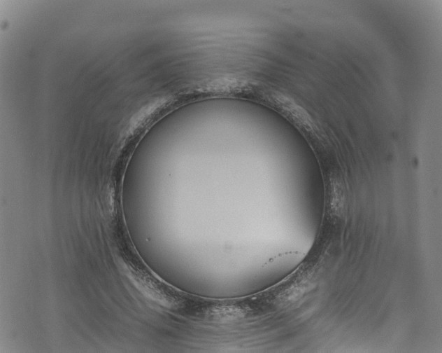 X0000074290636200609011408