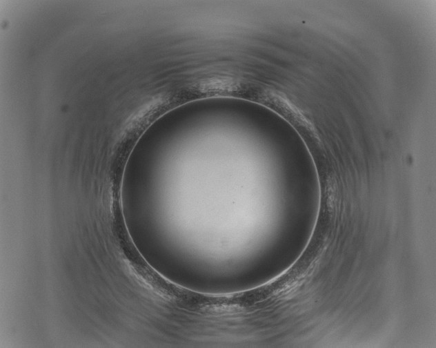 X0000074290637200609011408