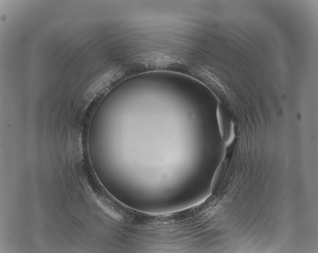 X0000074290638200609011408