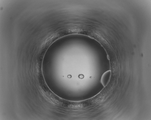 X0000074290639200609011408