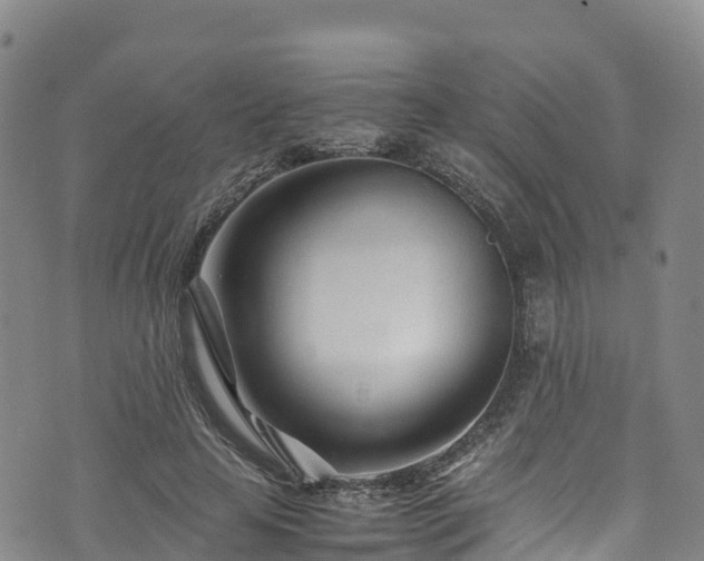 X0000074290641200609011408