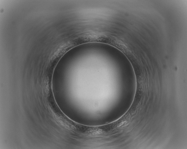 X0000074290642200609011408