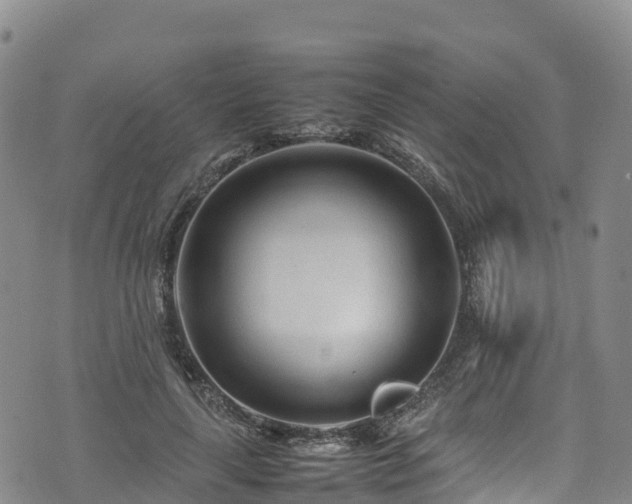 X0000074290643200609011408