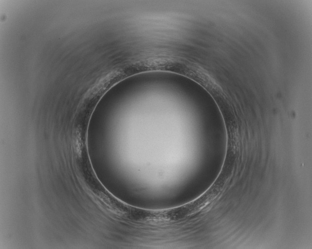 X0000074290644200609011408