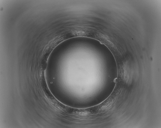 X0000074290645200609011408