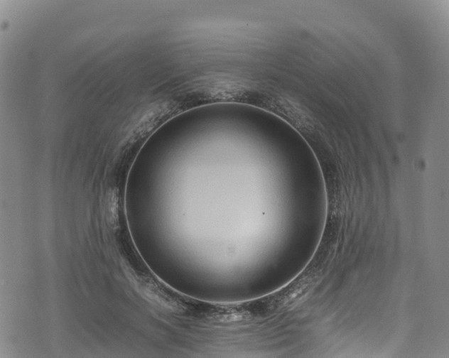 X0000074290646200609011408