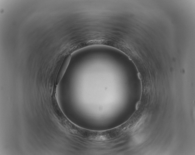 X0000074290647200609011408