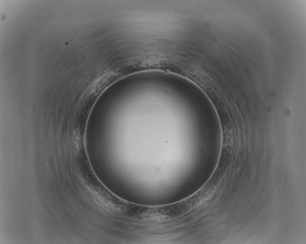 X0000074290648200609011408