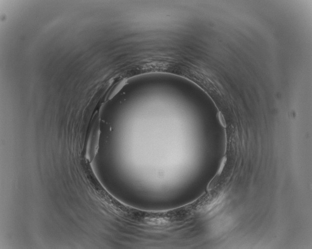 X0000074290649200609011408