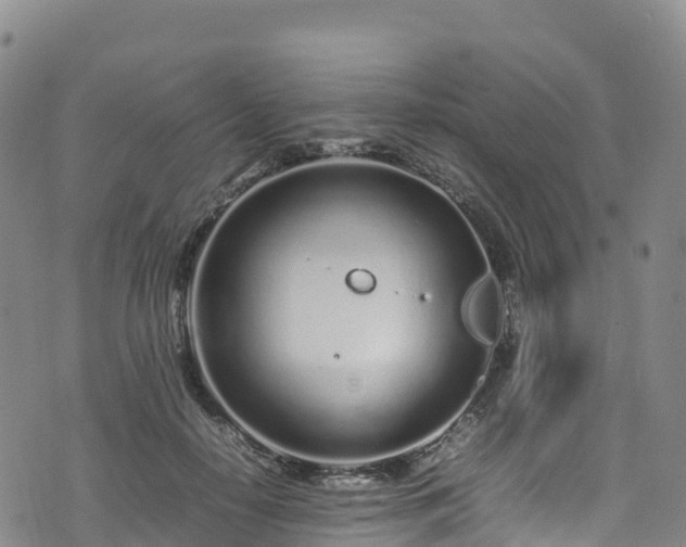 X0000074290650200609011408