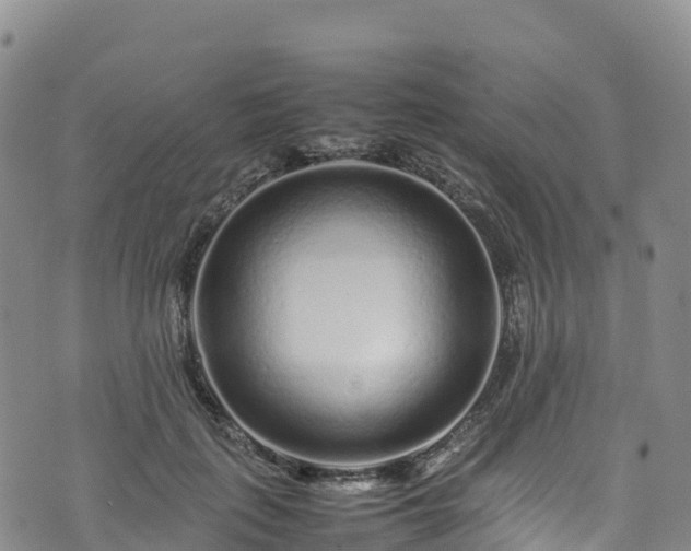 X0000074290651200609011408