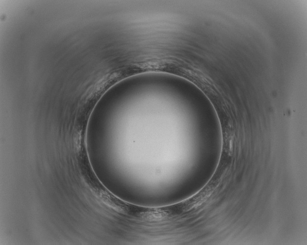 X0000074290652200609011408