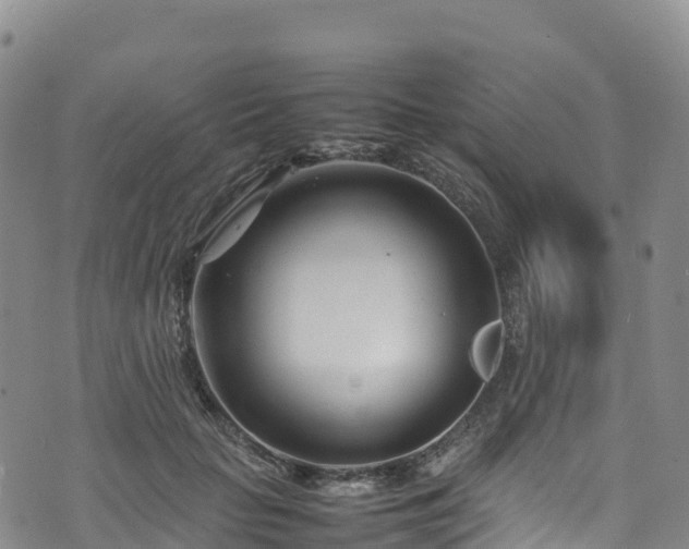 X0000074290653200609011408