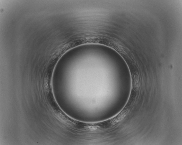 X0000074290654200609011408