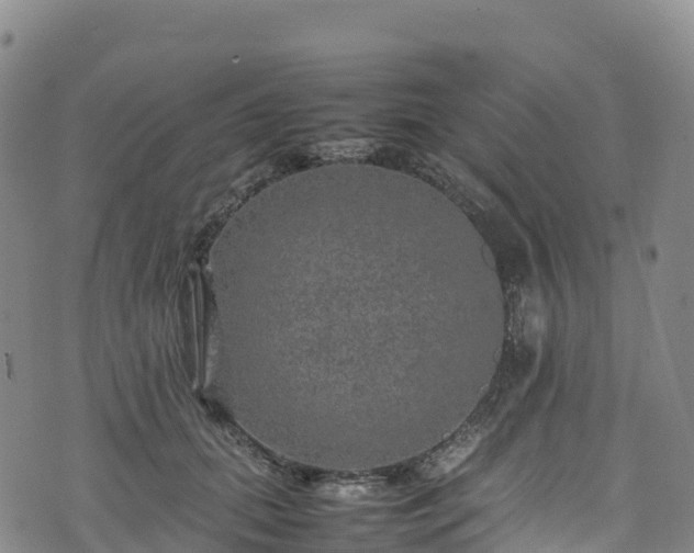 X0000074290655200609011408