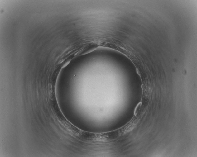 X0000074290656200609011408