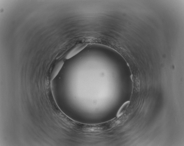 X0000074290657200609011408