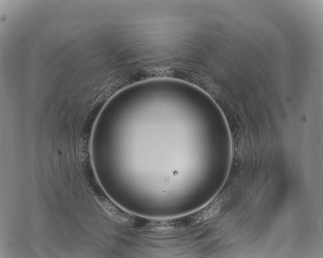 X0000074290658200609011408