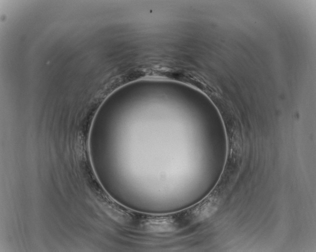 X0000074290659200609011408