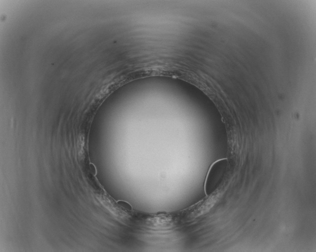 X0000074290660200609011408