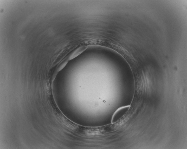 X0000074290661200609011408